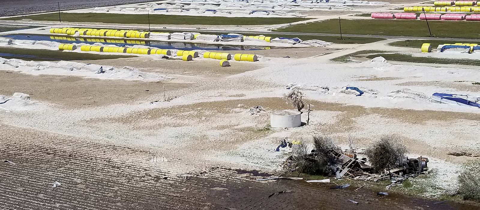 Bird's eye view of cotton destroyed by hurricane 