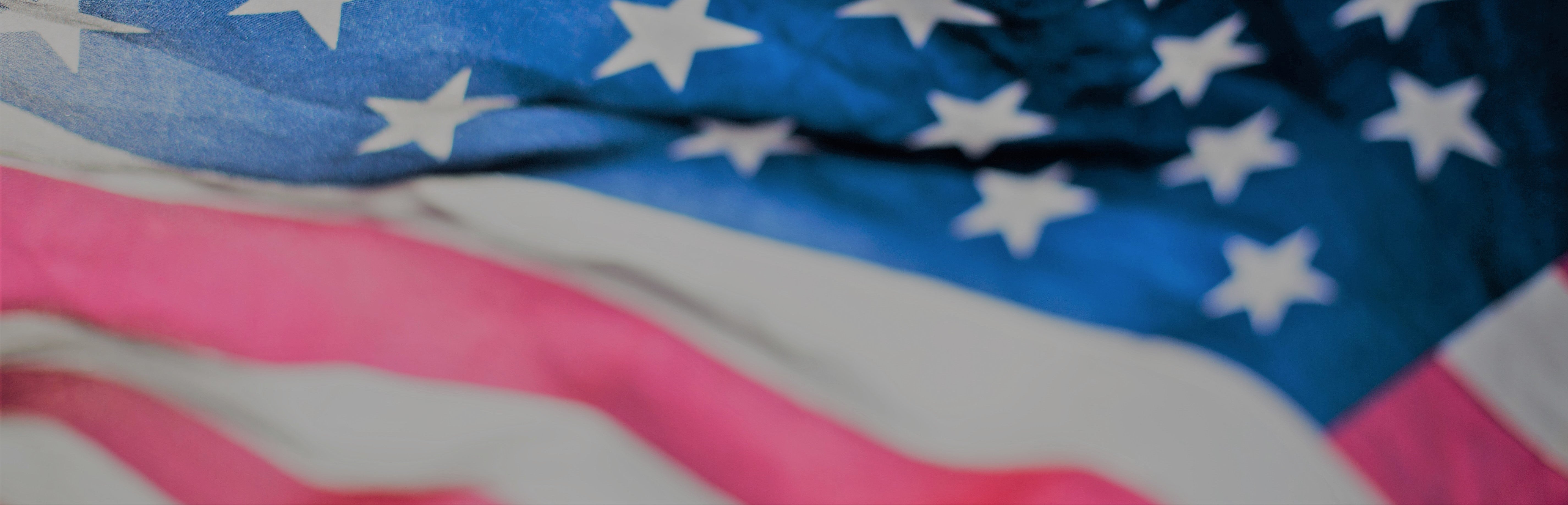 Watch our Annual Meeting Video Online Now American Flag